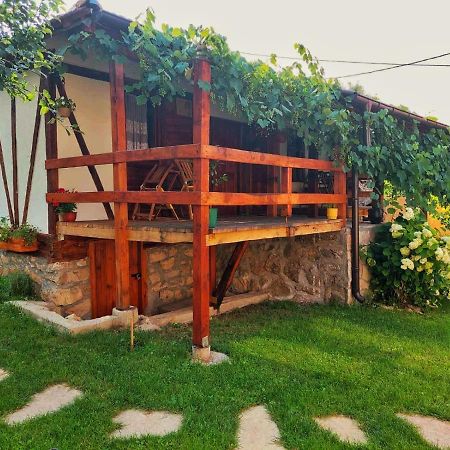 Mitrovic Appartement Boljevac Buitenkant foto