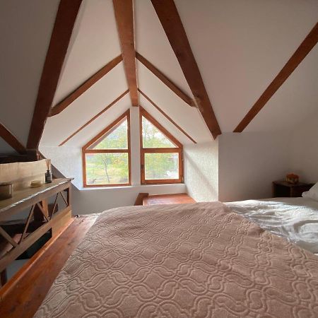 Mitrovic Appartement Boljevac Buitenkant foto
