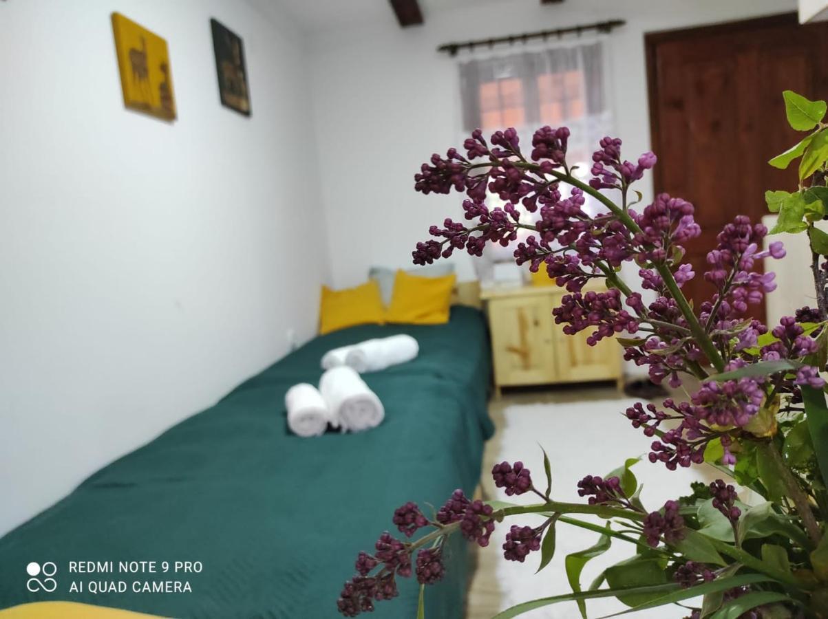 Mitrovic Appartement Boljevac Buitenkant foto