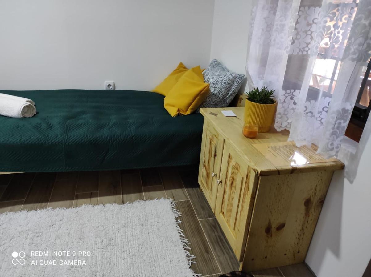 Mitrovic Appartement Boljevac Buitenkant foto