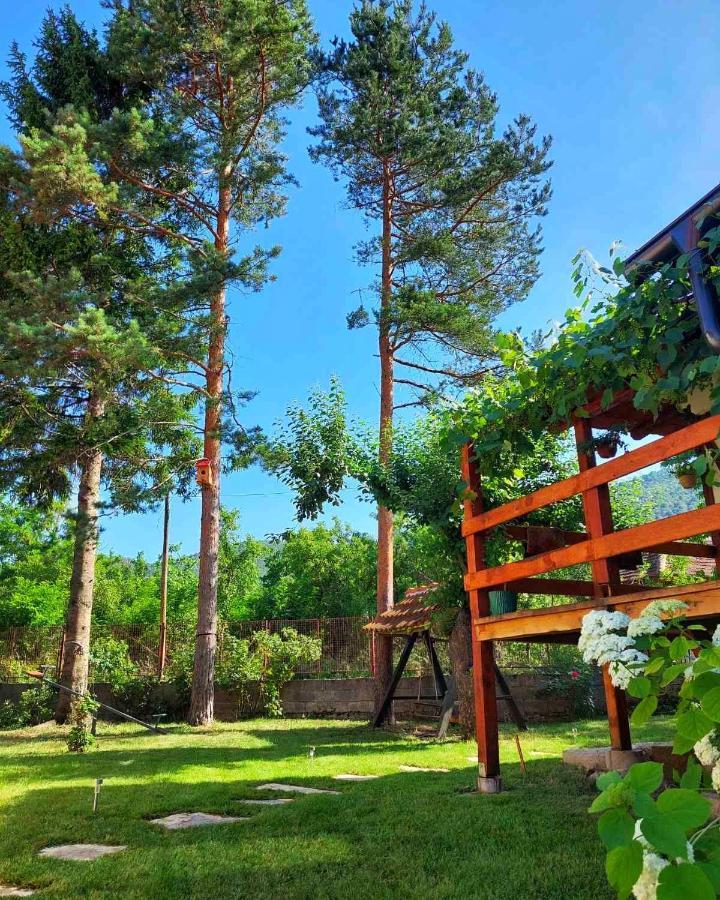 Mitrovic Appartement Boljevac Buitenkant foto