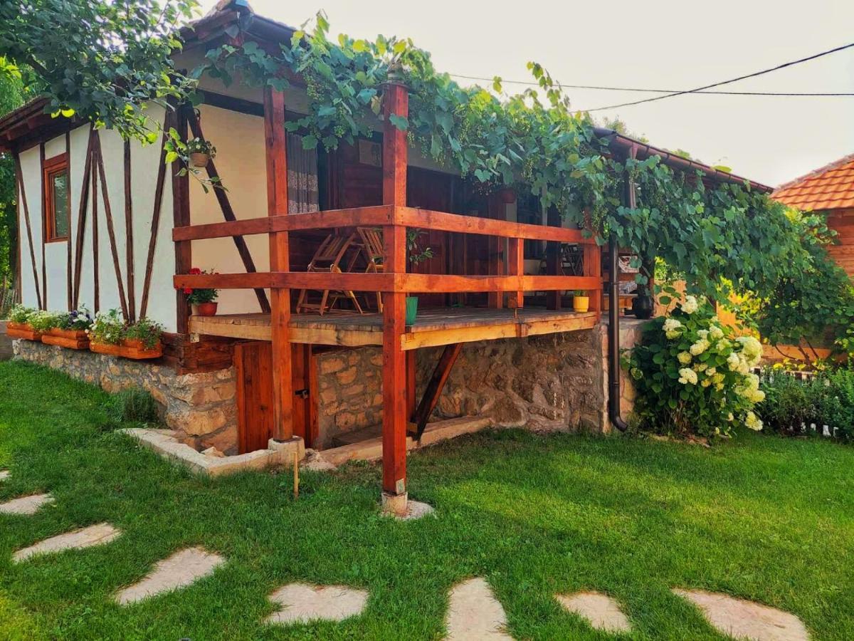 Mitrovic Appartement Boljevac Buitenkant foto