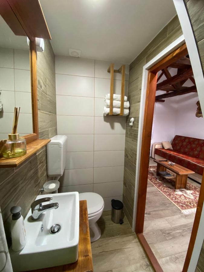 Mitrovic Appartement Boljevac Buitenkant foto
