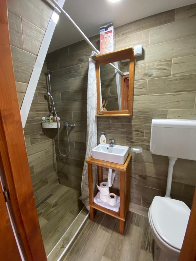 Mitrovic Appartement Boljevac Buitenkant foto