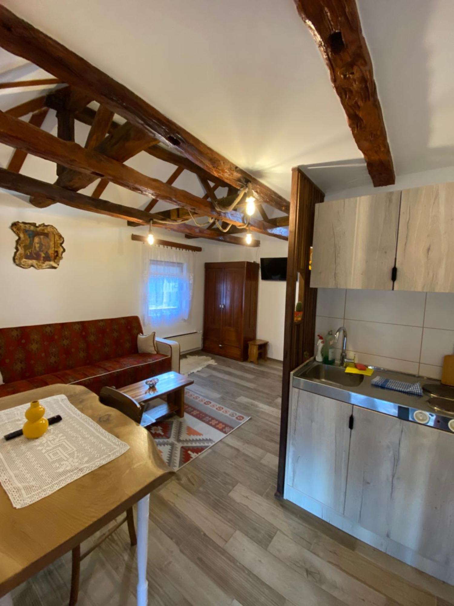 Mitrovic Appartement Boljevac Buitenkant foto
