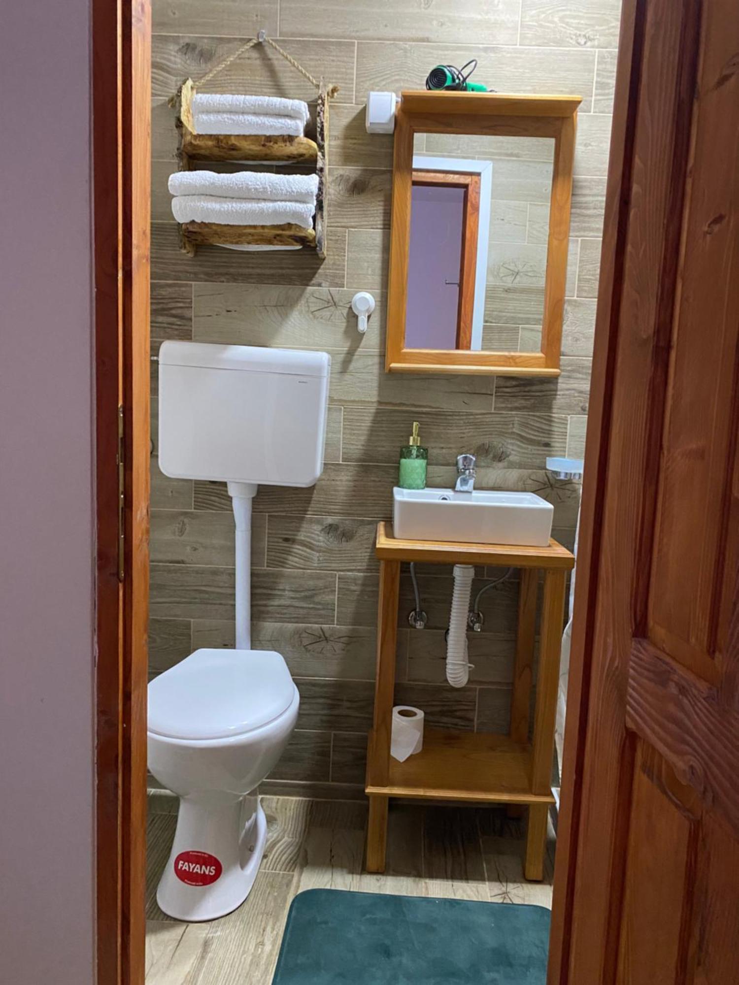 Mitrovic Appartement Boljevac Buitenkant foto
