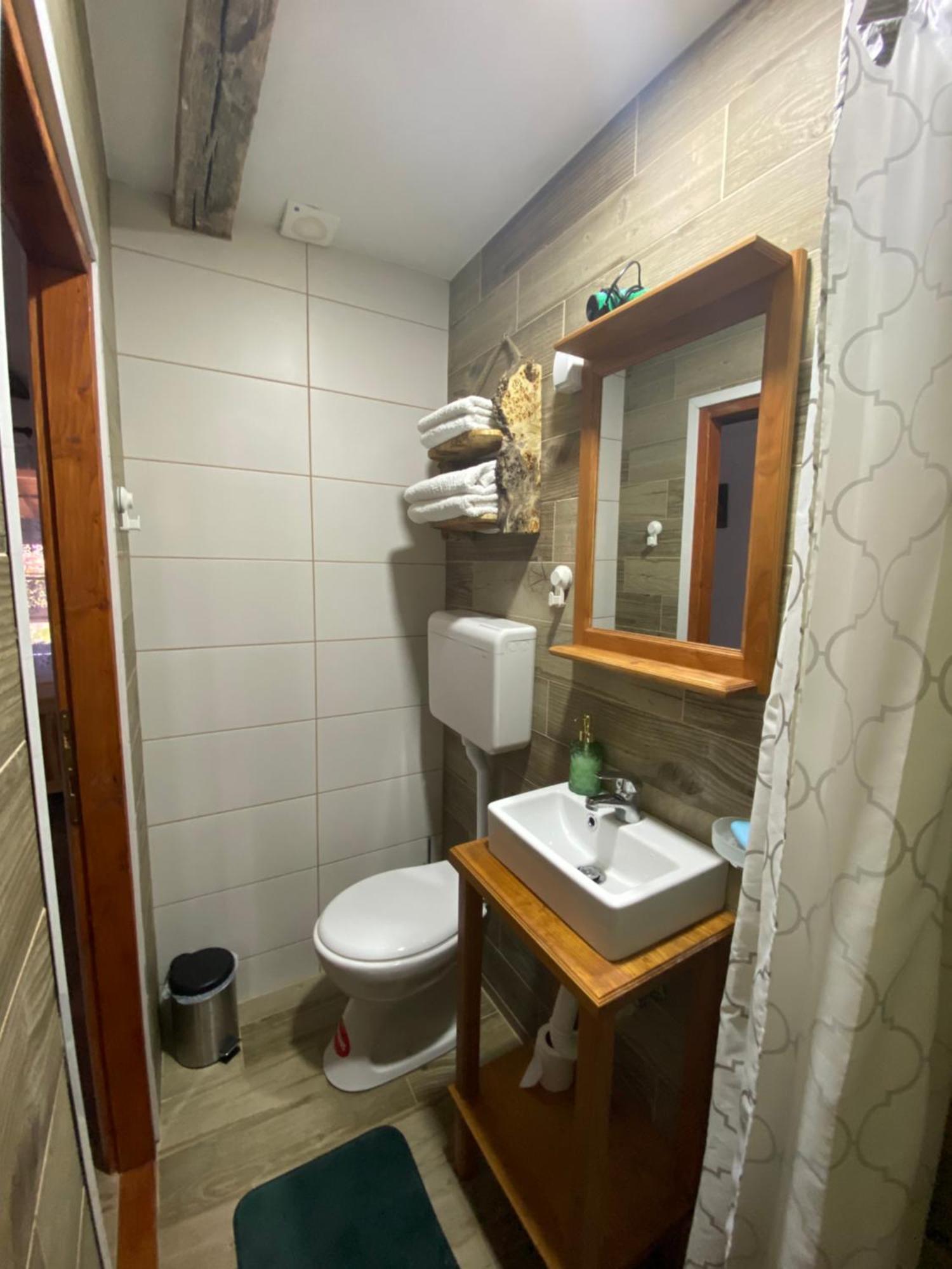 Mitrovic Appartement Boljevac Buitenkant foto