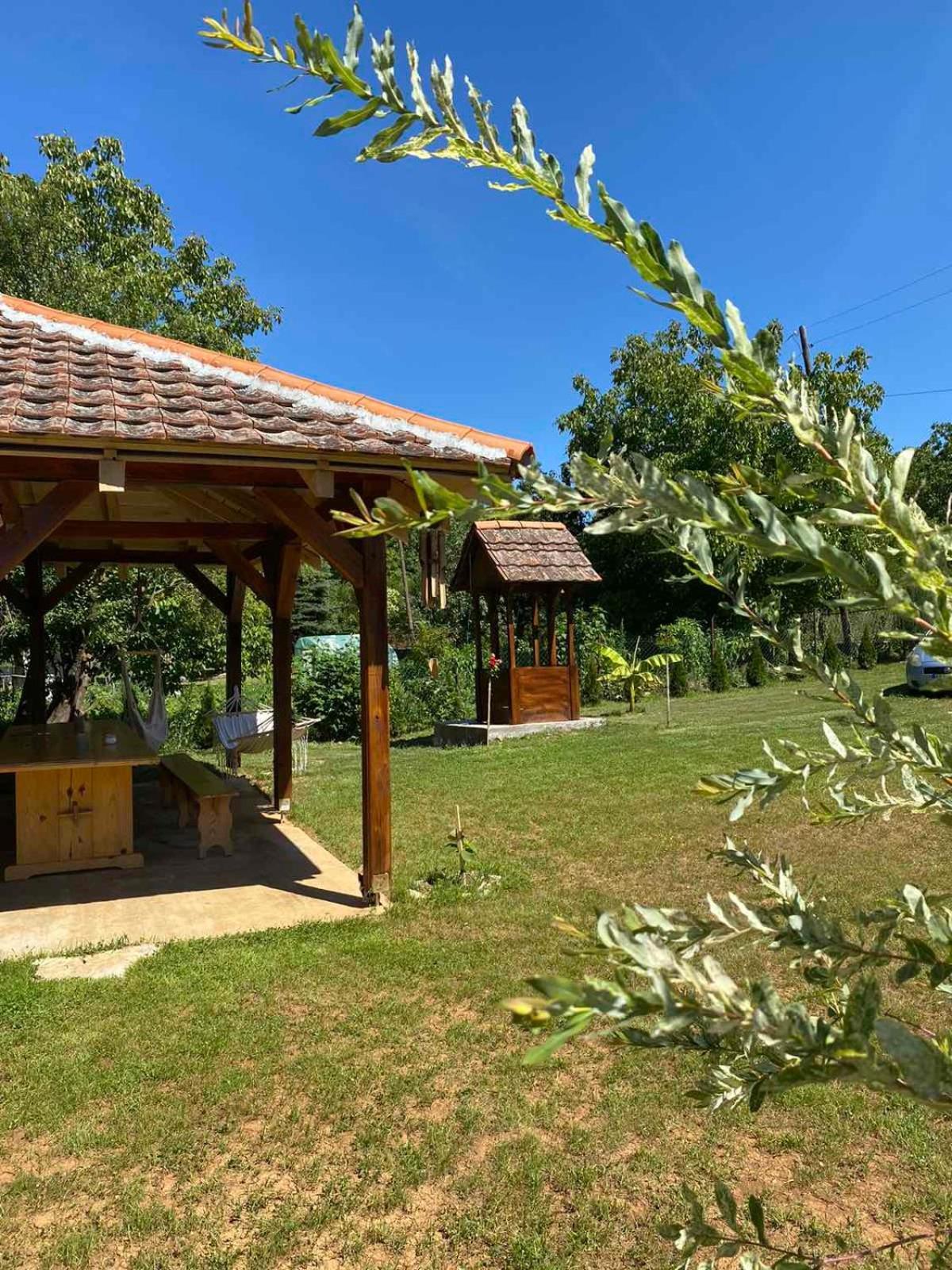 Mitrovic Appartement Boljevac Buitenkant foto